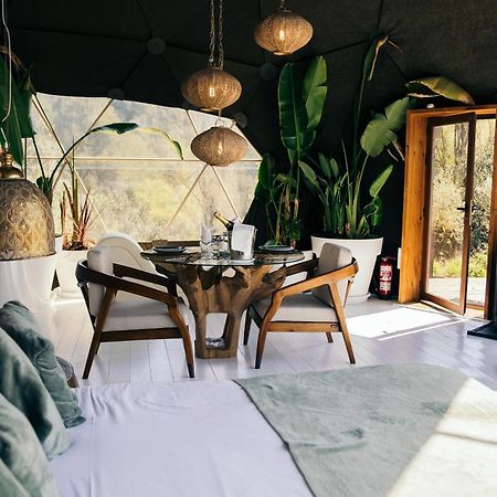 Domo Suites Masia Cal Geperut Бадалона Екстериор снимка